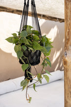 Suspension plante en macramé coton noir avec franges – H110 cm