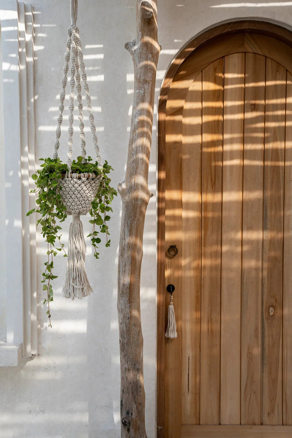 Suspension pour plante en macramé torsadé coton blanc naturel – H135 cm