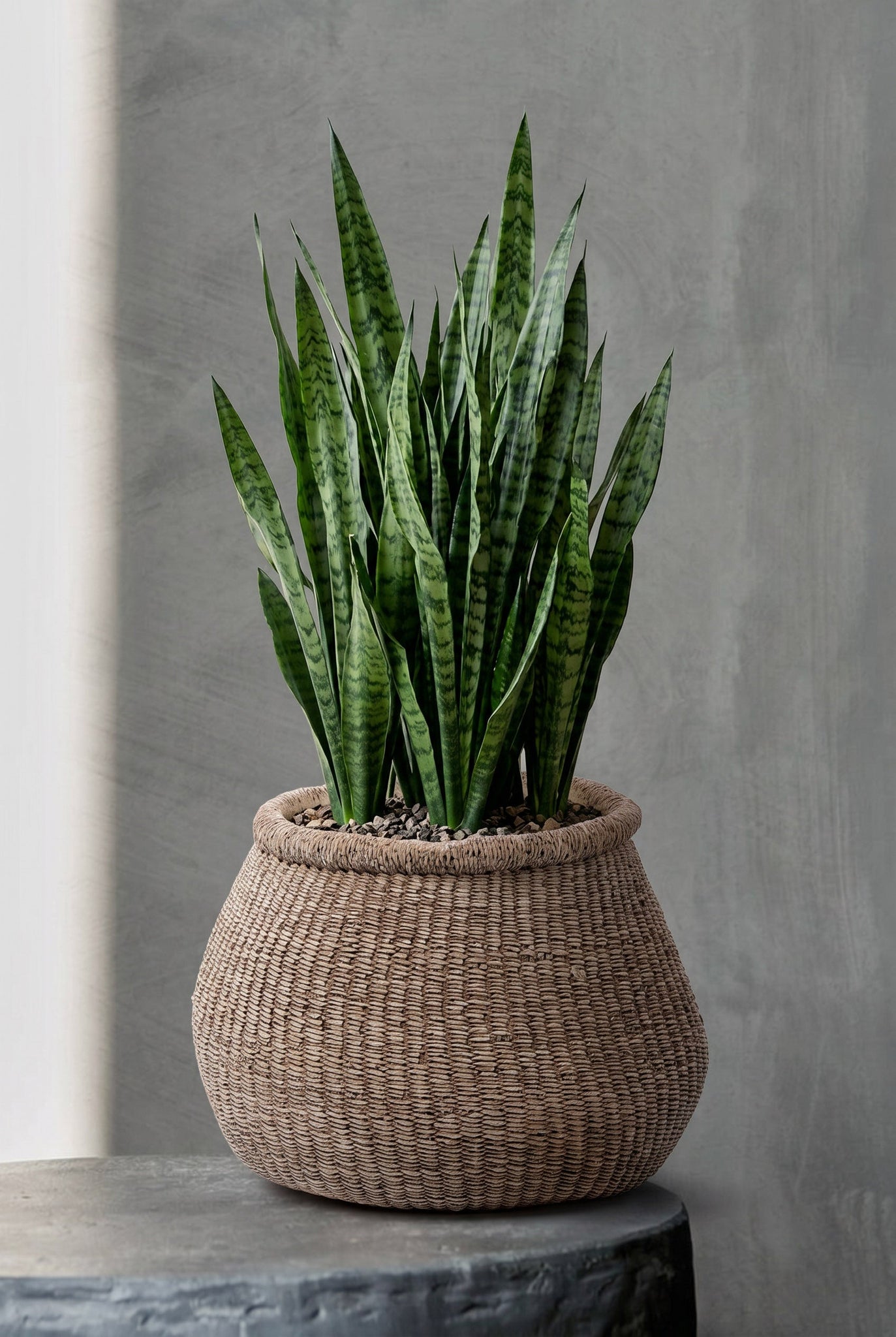 Cache-pot en béton brun artisanal pour intérieur et extérieur