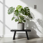 Table basse en bois de manguier noir sculpté rectangulaire – 40x25 cm