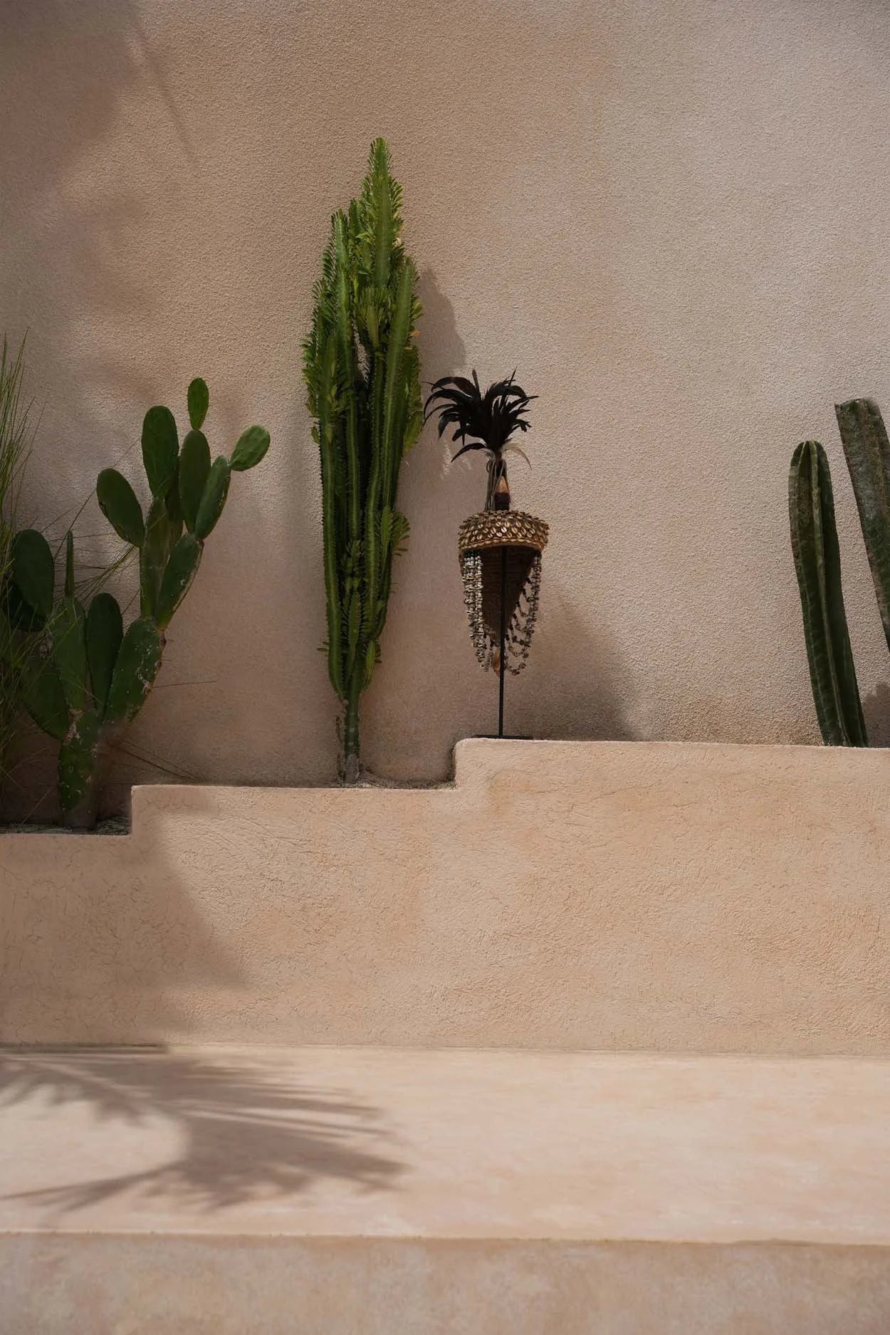 Arrangement décoratif de cactées et sculpture plume sur socle noir naturel