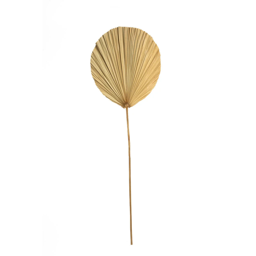 Feuilles décoratives en rotin naturel – H120 cm