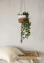 Plante suspendue dans un panier tissé bicolore pour décoration intérieure élégante