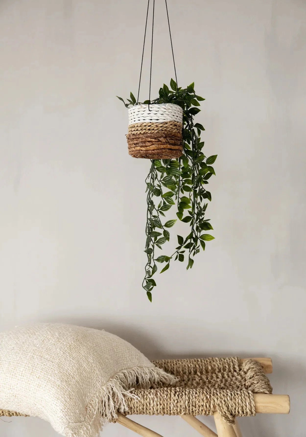 Plante suspendue dans un panier tissé bicolore pour décoration intérieure élégante