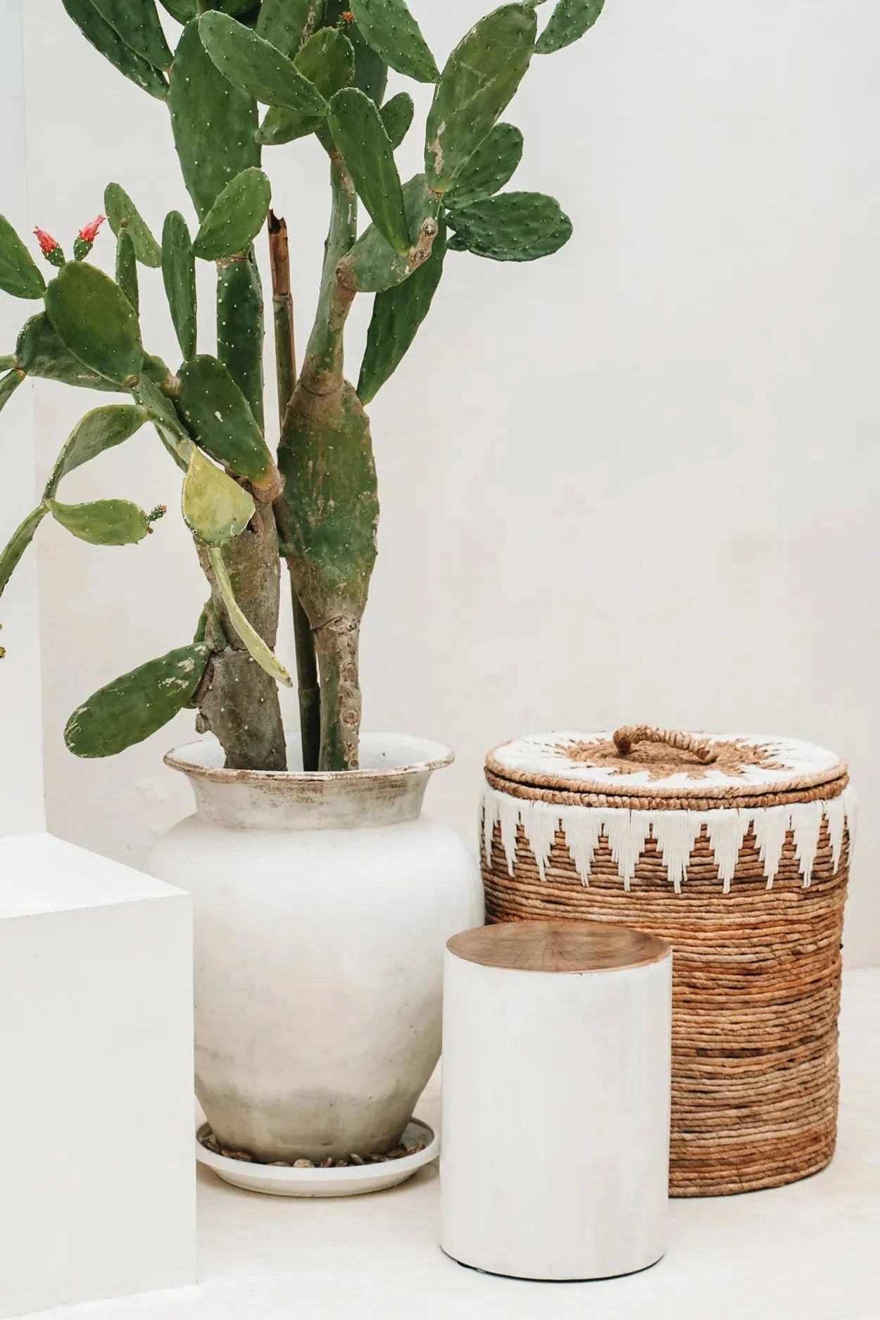 Panier à linge en feuille de bananier avec couvercle