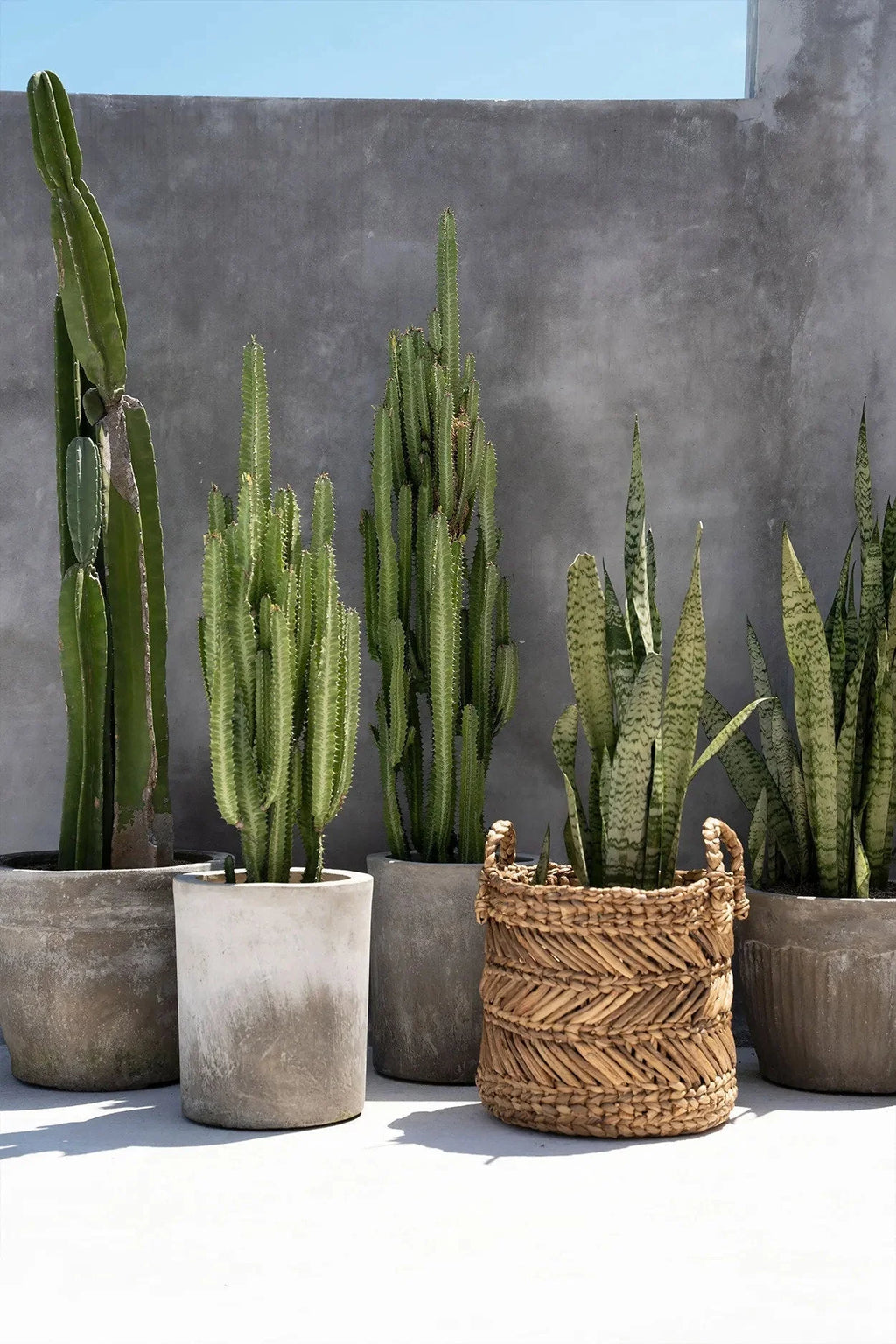 Panier de rangement cylindrique en feuilles de bananier tressées naturel – H34 cm