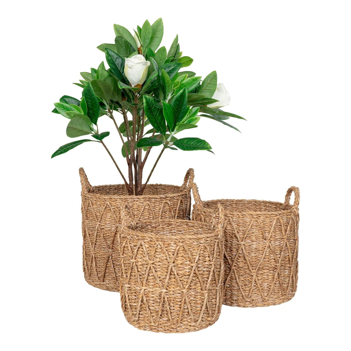 Set de 3 paniers cylindriques en jonc de mer avec motif chevrons