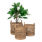 Ensemble de 3 paniers de rangement en jonc de mer naturel avec poignées et plantes de magnolia artificielles