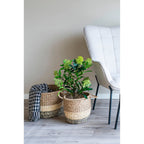 Panier en osier tissé pied-de-poule noir et beige avec plante verte