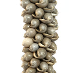 Pile verticale de coquillages en spirale couleur beige clair pour le mural Pompon en coquillages et coton gris perle