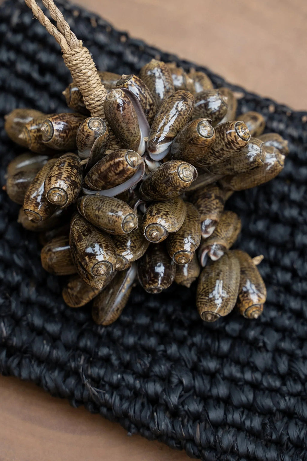 Cluster de coquillages naturels marron avec motif, suspendus avec de la twine