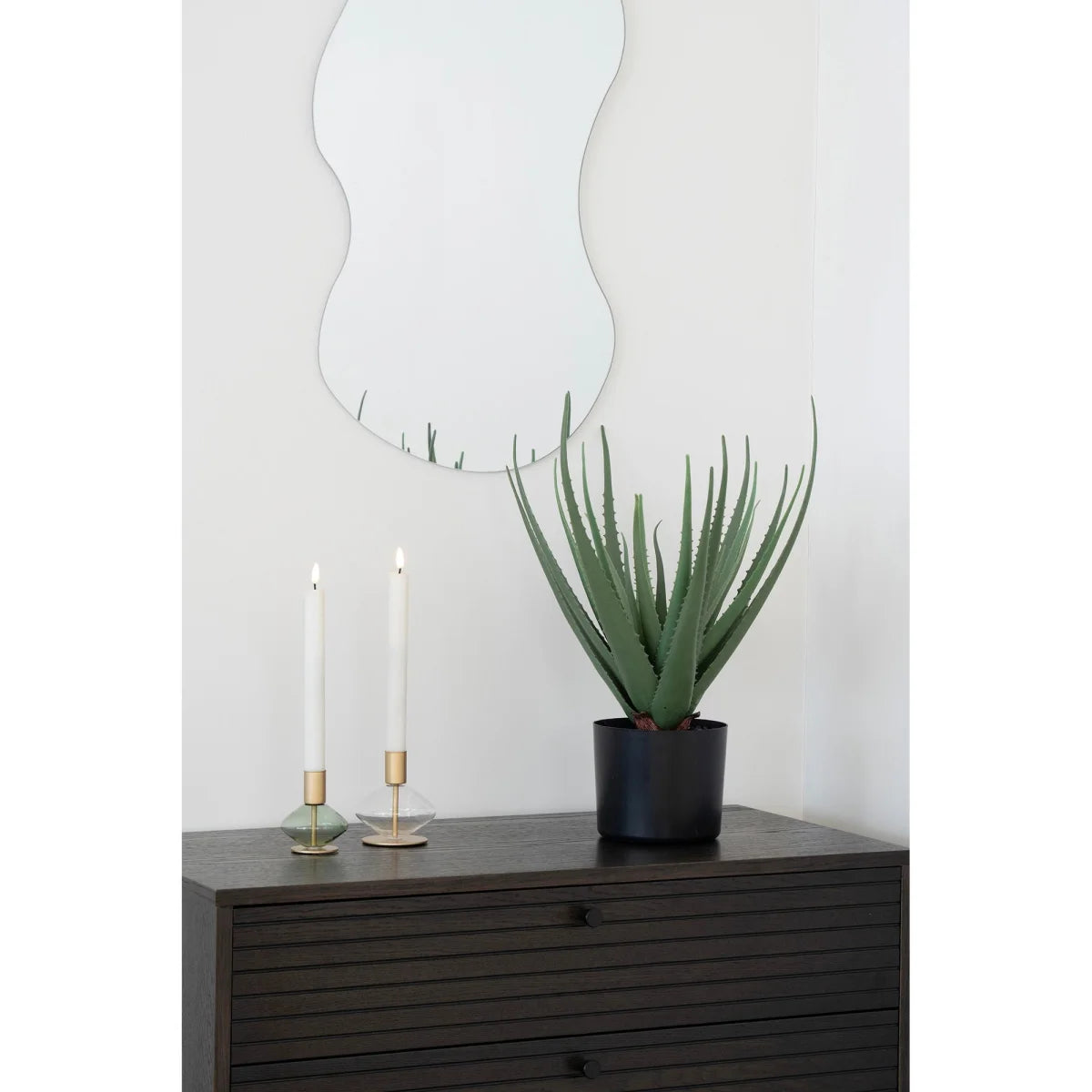 Plante d’aloe vera verte luxuriante en pot noir sur meuble en bois sombre