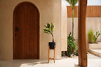 Porte-plante en bois naturel avec pot en terre cuite noire et feuillage vert pâle