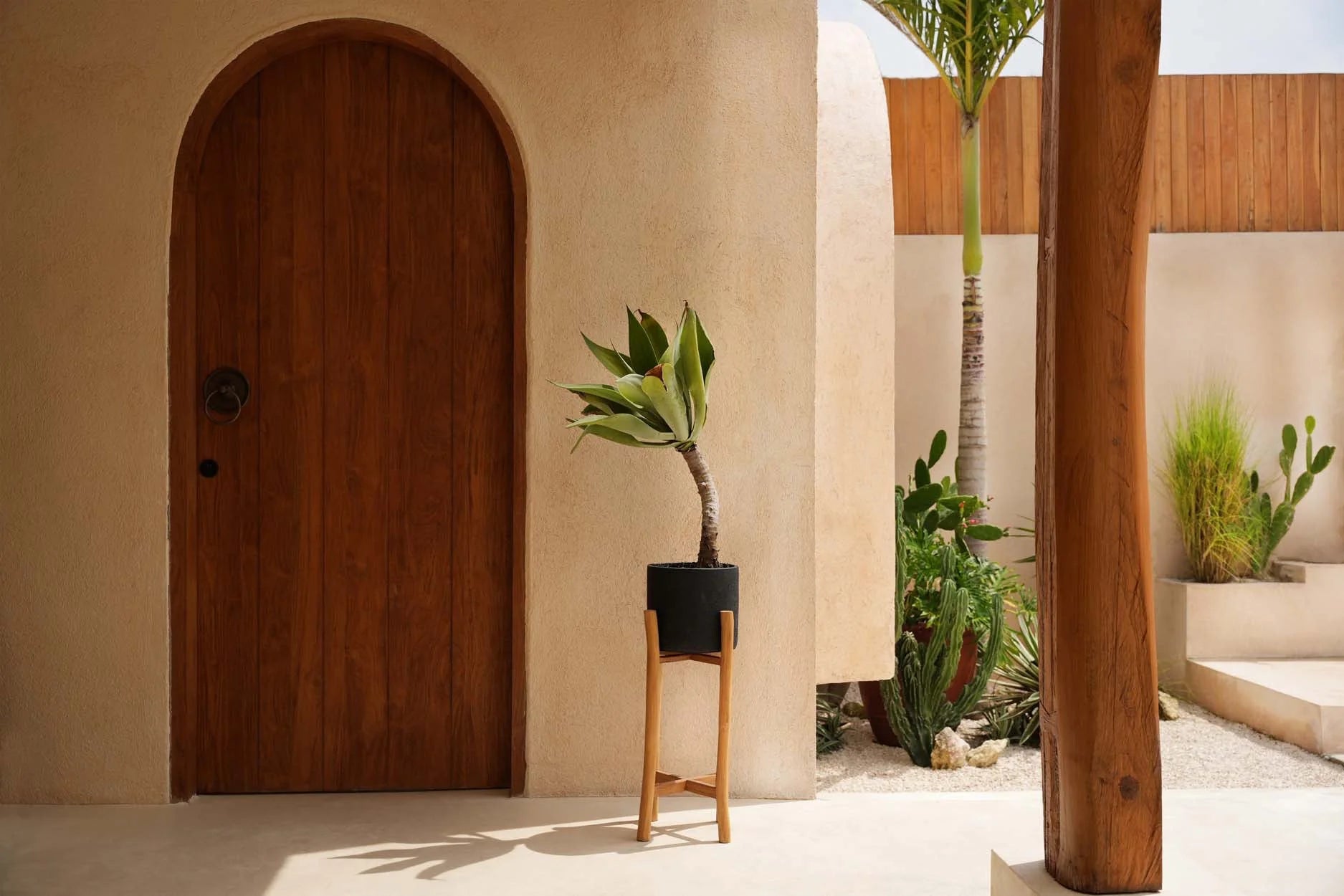 Porte-plante en bois naturel avec pot en terre cuite noire et feuillage vert pâle