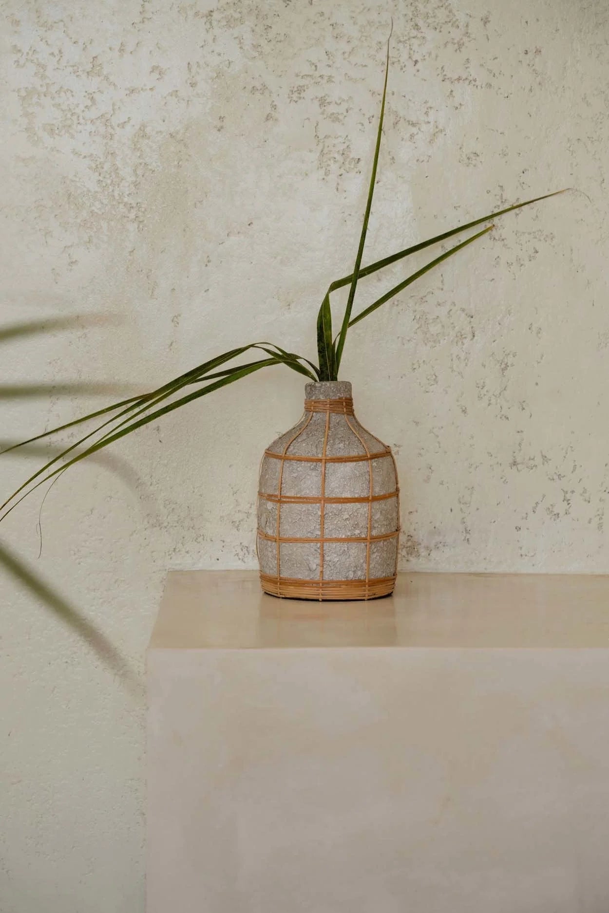 Vase en béton et rotin gris naturel courbé pour fleurs séchées – H24 cm