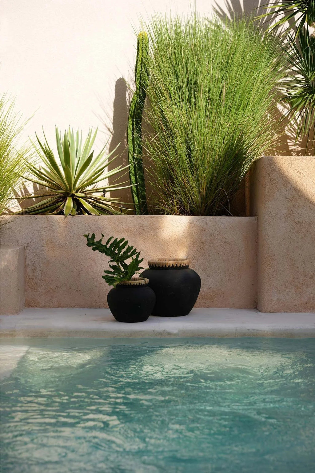 Deux pots décoratifs noirs en terre cuite avec accents de plantes séchées