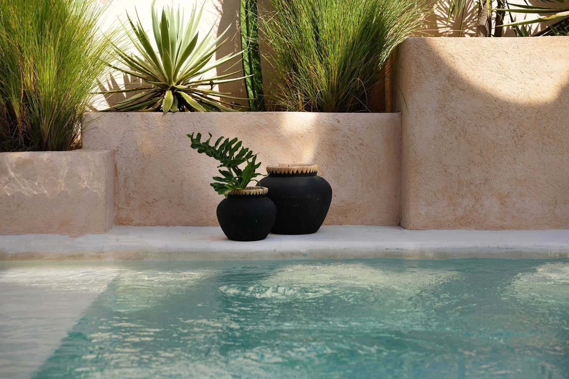 Pot décoratif en terre cuite et raphia noir naturel avec plante verte verte